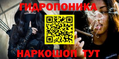 хмурый Малоярославец