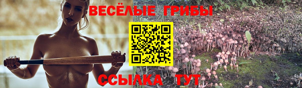 Старая Купавна  Галлюциногенные грибы прущие грибы  Псилоцибиновые грибы мицелий  где купить наркоту  Вход с VPN 